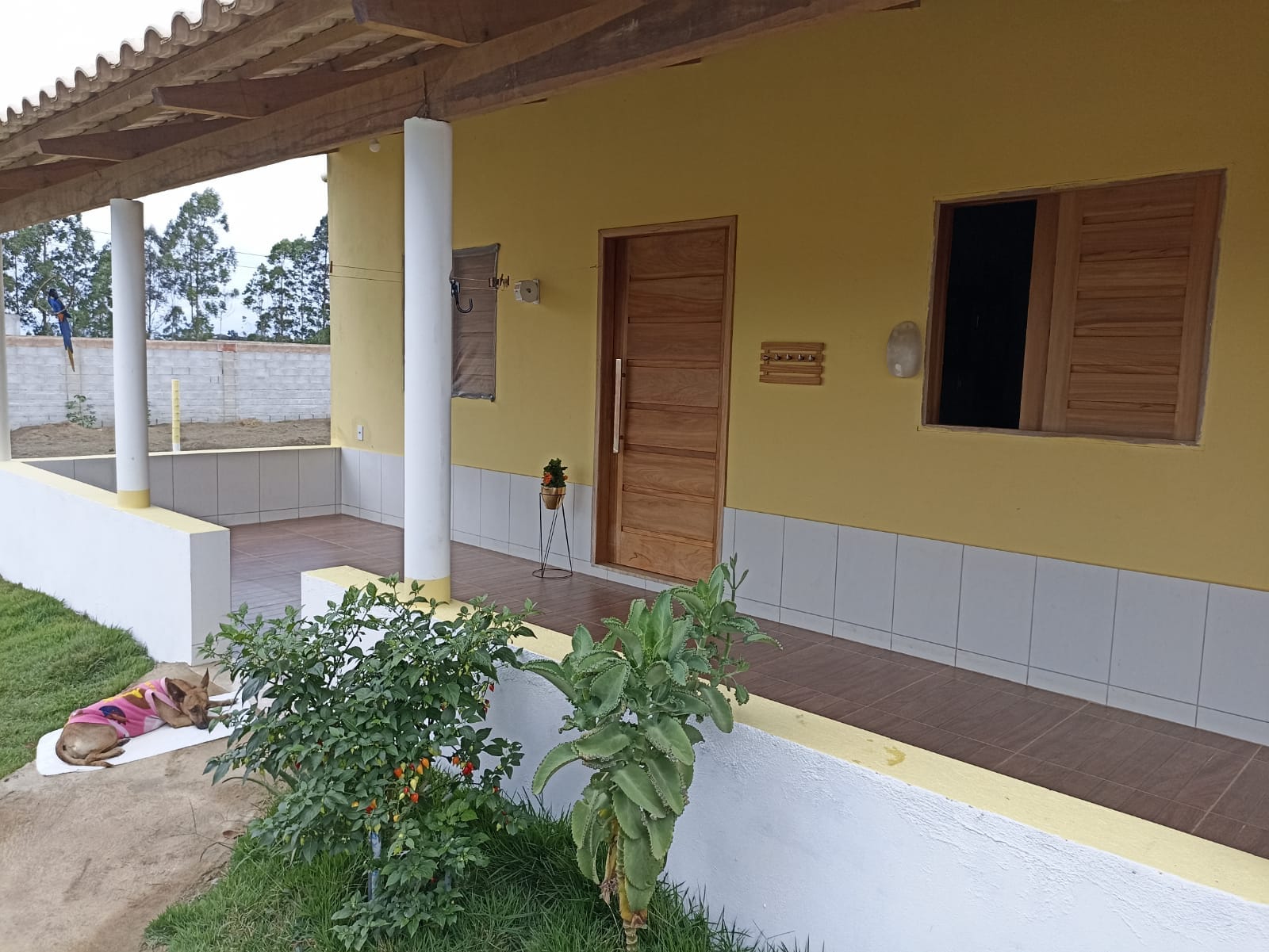 SITIO À VENDA, CAPINAL