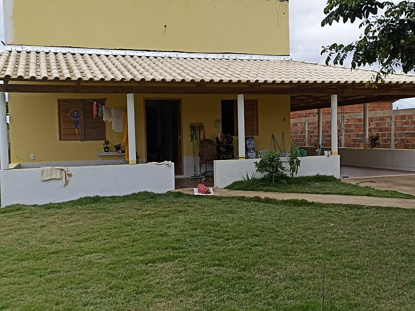 Foto 2