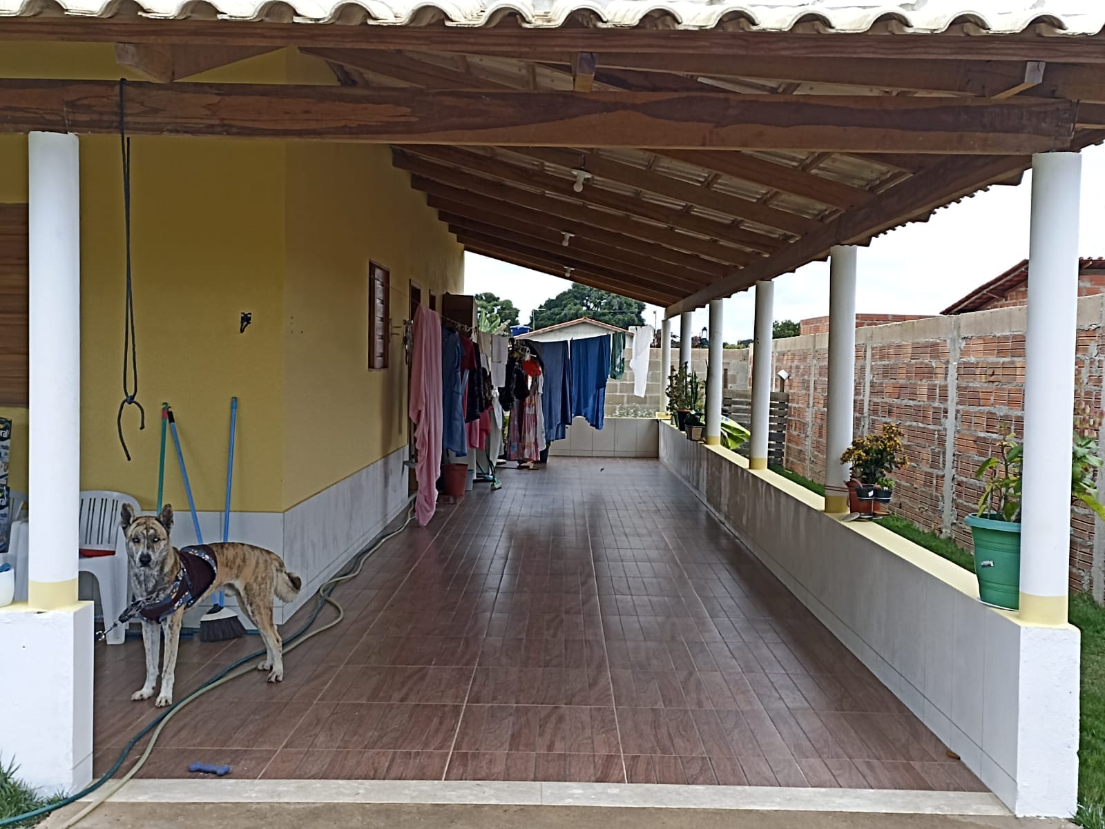 Foto 4