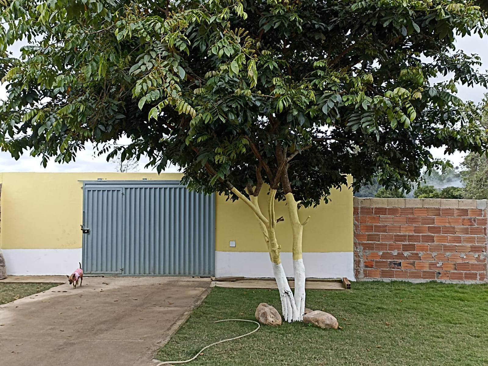 Foto 6