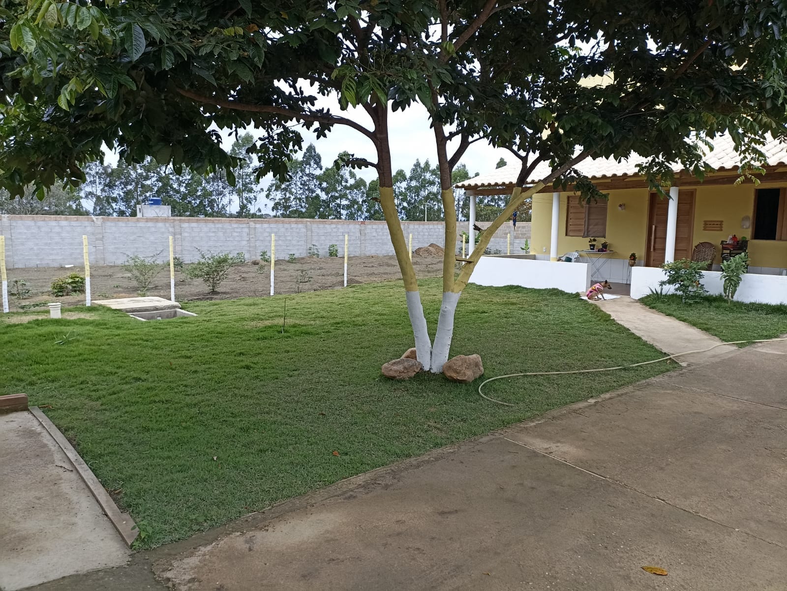 Foto 11