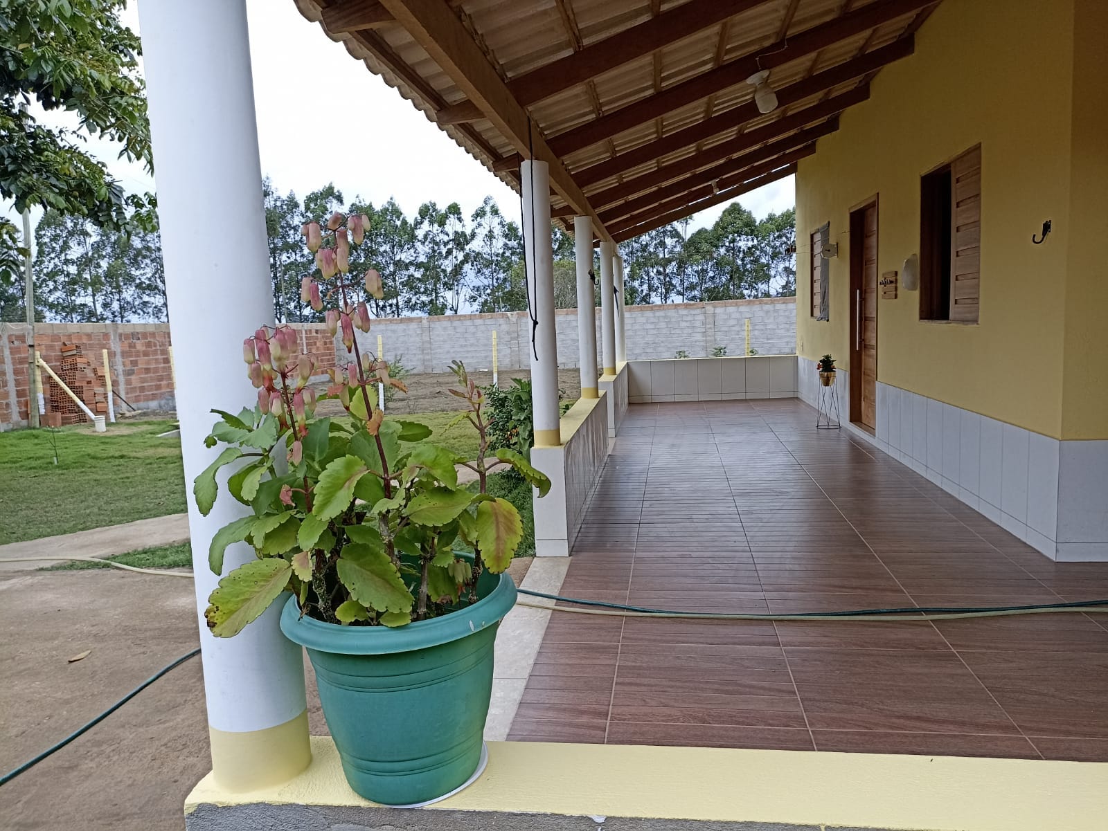 Foto 12